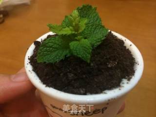 盆栽冰淇淋的做法步骤：4