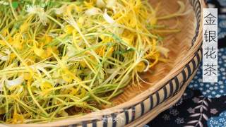 【四叶小馆】三伏：金银花茶的做法步骤：1