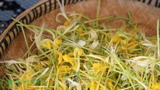 【四叶小馆】三伏：金银花茶的做法步骤：3