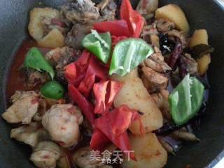 大盘鸡的做法步骤：8