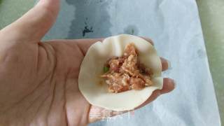 鲜肉蒸饺的做法步骤：5