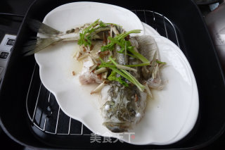 沙姜酱油蒸海鲈的做法步骤：5