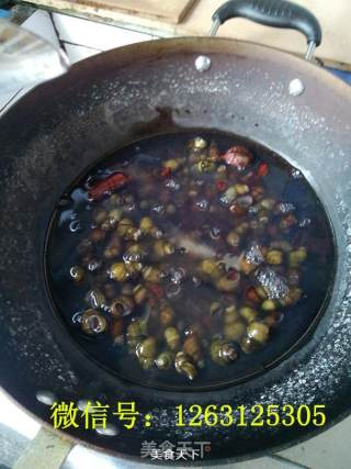 香辣炒螺的做法步骤：3