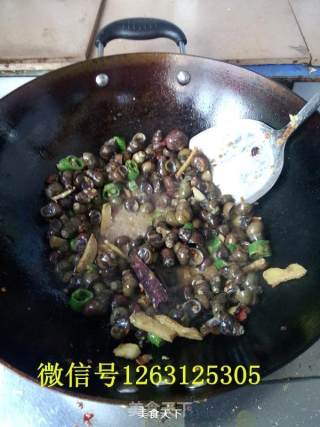 香辣炒螺的做法步骤：6