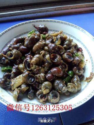 香辣炒螺的做法步骤：7