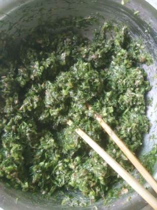 茴香牛肉小包子的做法步骤：4