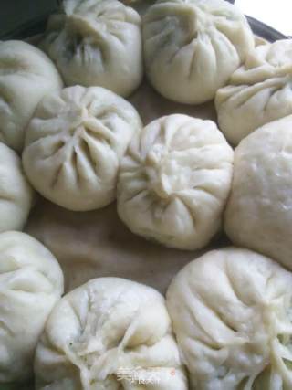 茴香牛肉小包子的做法步骤：7
