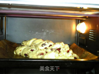蔓越莓核桃节日面包的做法步骤：18