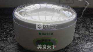 酸奶蜜豆冰棒的做法步骤：5