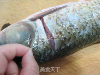 红烧草鱼的做法步骤：2