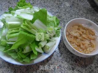 开洋炒五号菜的做法步骤：1