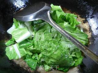 开洋炒五号菜的做法步骤：2