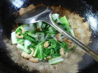 开洋炒五号菜的做法步骤：5