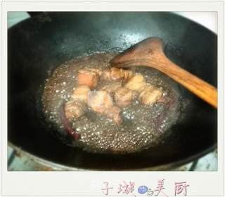 五香卤肉【子璇美厨】的做法步骤：2