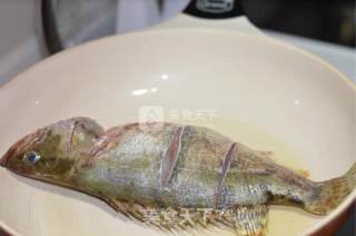 家常红烧鳜鱼的做法步骤：2