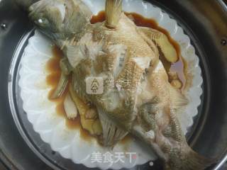 清蒸鲈鱼的做法步骤：6