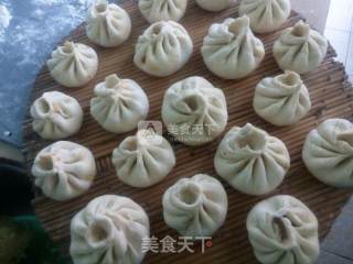 美味猪肉包的做法步骤：6