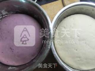 紫薯银丝卷的做法步骤：6