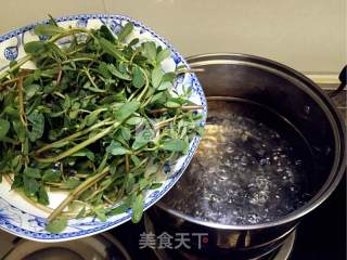 凉拌马齿苋的做法步骤：2