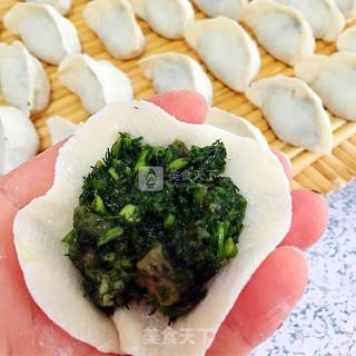 茴香猪肉饺子的做法步骤：5