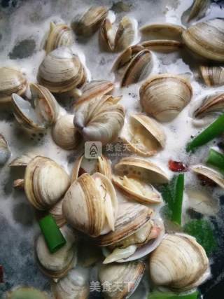 淡水煮蚬子的做法步骤：6