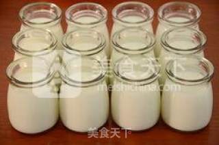 【经典老酸奶】的做法步骤：9