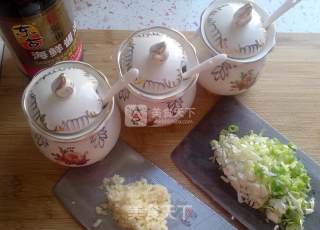 自制酱扒茄子—肉丝茄子的做法步骤：3