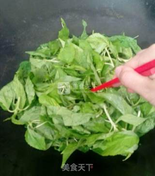豆瓣炒麻叶的做法步骤：3
