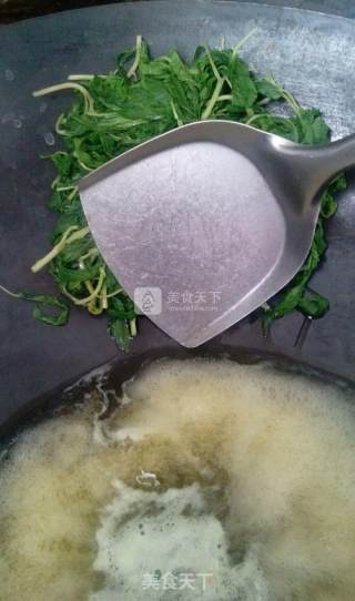 豆瓣炒麻叶的做法步骤：4