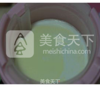 【原味酸奶】---堪比外卖酸奶的好口感的做法步骤：6