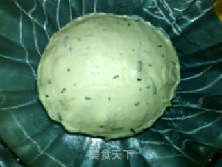 土豆泥迷迭香面包的做法步骤：16