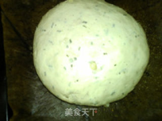 土豆泥迷迭香面包的做法步骤：21