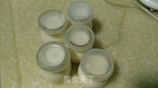 自制酸奶的做法步骤：4