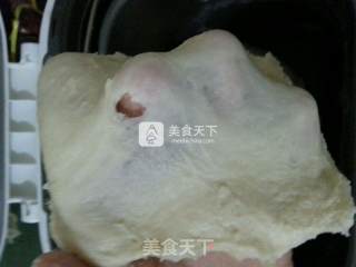 豆沙面包的做法步骤：6