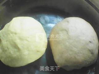 双色馒头的做法步骤：5
