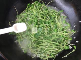 蒜香黑豆苗的做法步骤：8