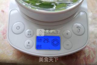 清凉提神--薄荷茶的做法步骤：3