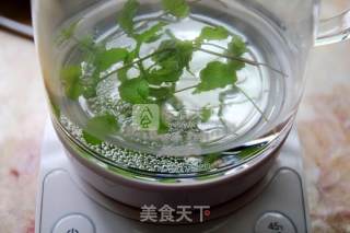 清凉提神--薄荷茶的做法步骤：4