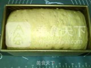 超级杂粮面包的做法步骤：15