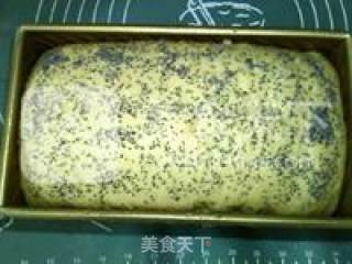 超级杂粮面包的做法步骤：16
