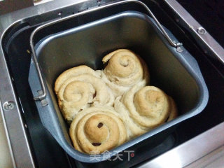 【全麦葡萄干面包卷】的做法步骤：22