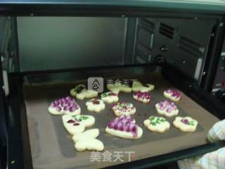 鸟语花香小饼干的做法步骤：19