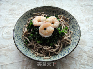 鲜虾荞麦凉面的做法步骤：12