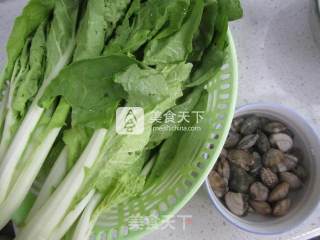 小白菜花蛤汤的做法步骤：1