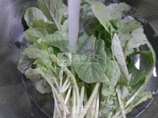 蒜香萝卜苗的做法步骤：2