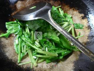 蒜香萝卜苗的做法步骤：5