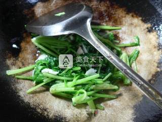 蒜香萝卜苗的做法步骤：8