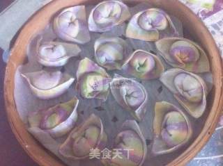 蒸彩色馄饨的做法步骤：18
