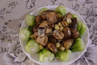 耗油烩鲜莲草菇的做法步骤：14