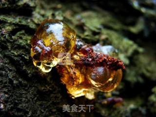 桃胶燕窝的做法步骤：1